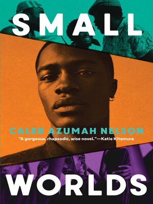 cover image of Small Worlds